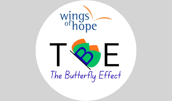 WOHAA Team The Butterfly Effect