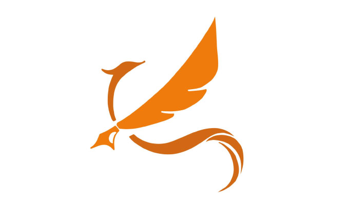 Team Phoenix