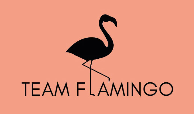 Team Flamingo