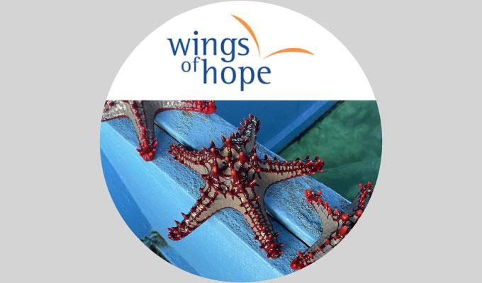 WOHAA Team Starfish (Habs)
